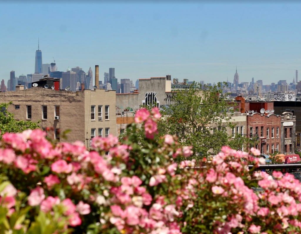 The Extra Mile Center for Family Life